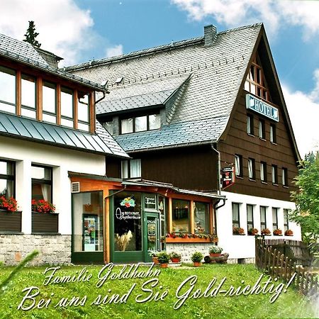 Ferienhotel Muehlleithen Klingenthal Dış mekan fotoğraf