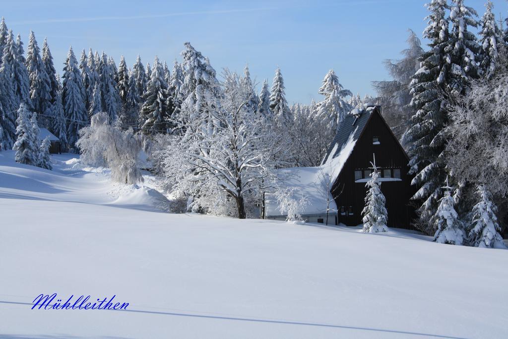 Ferienhotel Muehlleithen Klingenthal Dış mekan fotoğraf