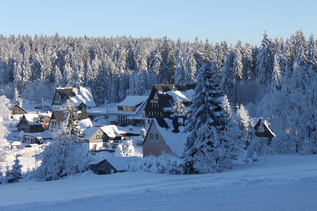 Ferienhotel Muehlleithen Klingenthal Dış mekan fotoğraf