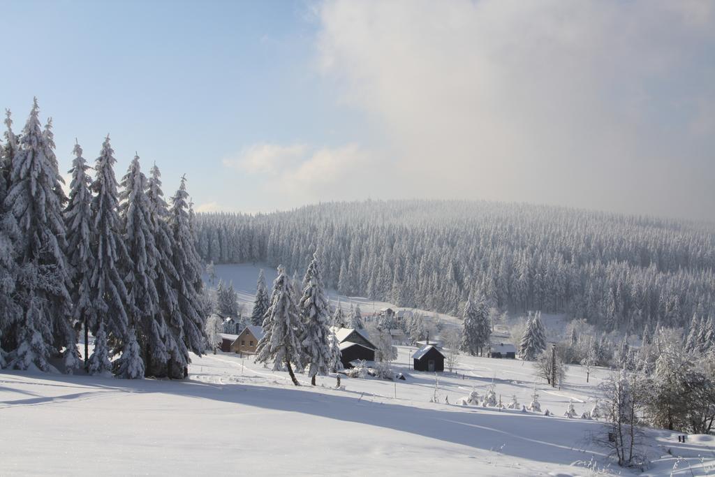 Ferienhotel Muehlleithen Klingenthal Dış mekan fotoğraf
